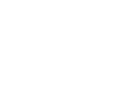 La Romàntica del Saladar